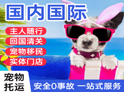锡林浩特机场货运国际宠物托运 【国